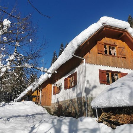Pohorje House 2 Four Appartmetns Oplotnica Dış mekan fotoğraf