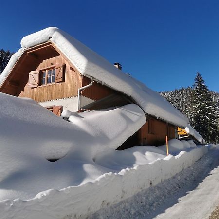 Pohorje House 2 Four Appartmetns Oplotnica Dış mekan fotoğraf