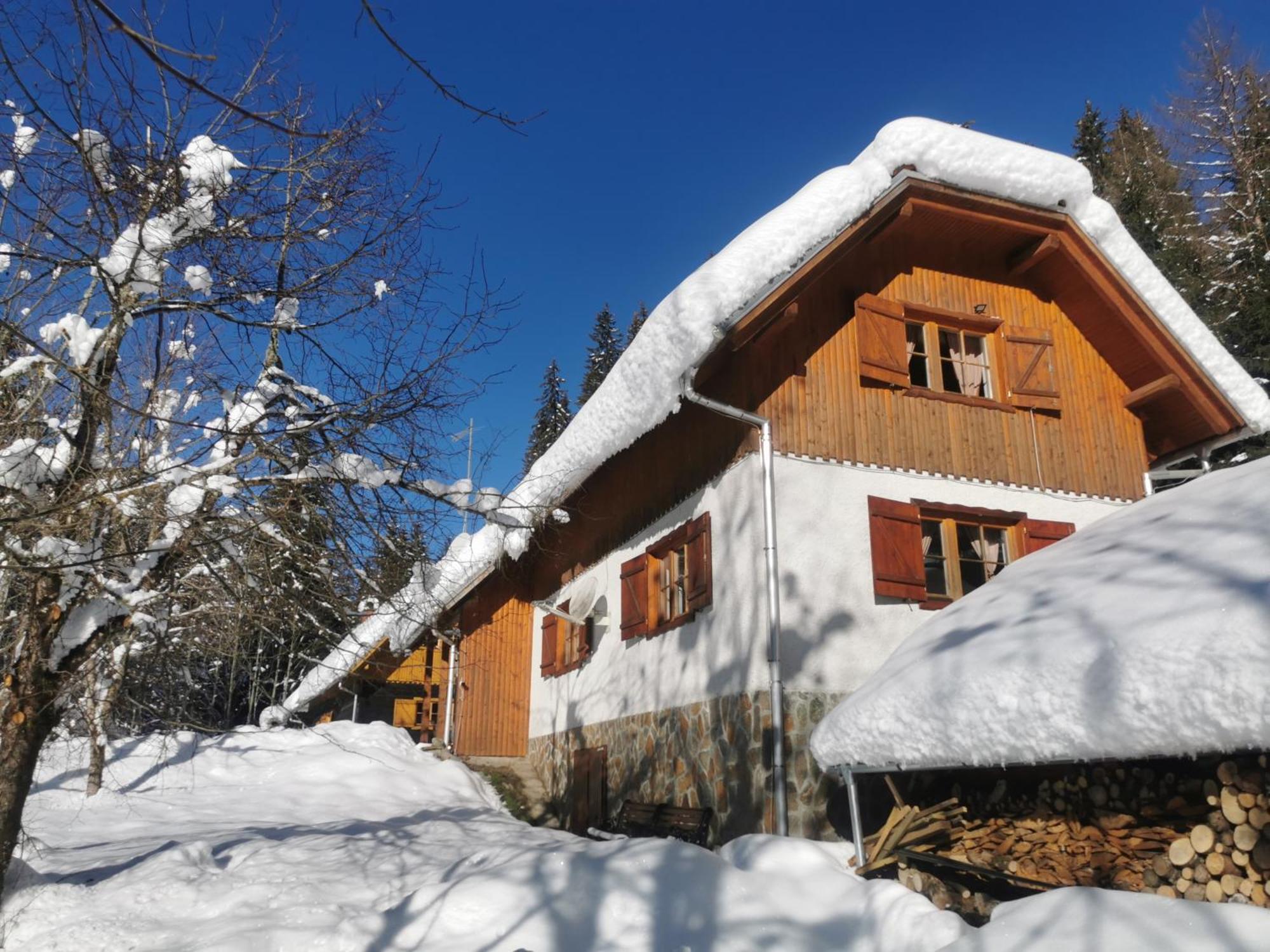 Pohorje House 2 Four Appartmetns Oplotnica Dış mekan fotoğraf