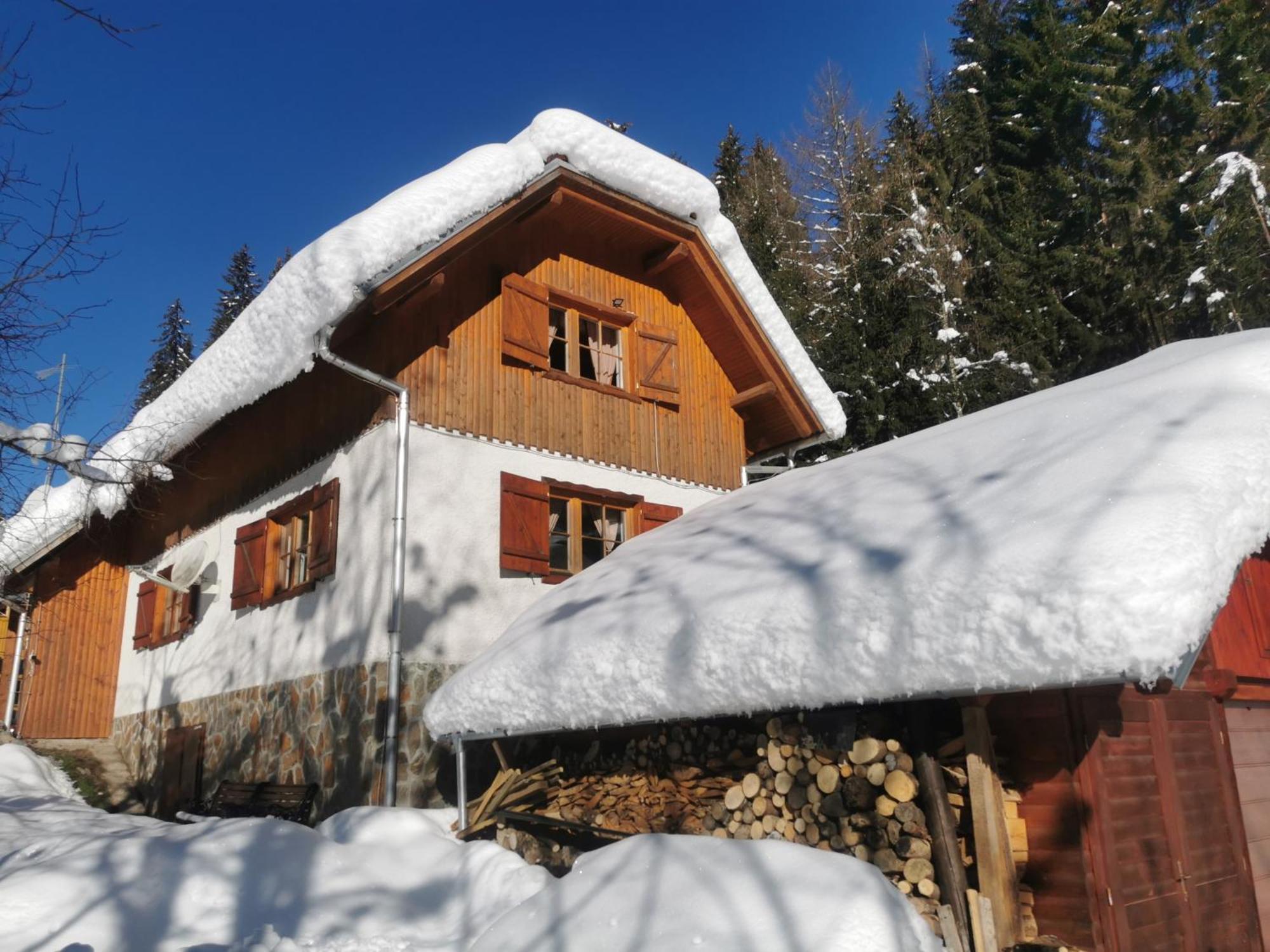 Pohorje House 2 Four Appartmetns Oplotnica Dış mekan fotoğraf