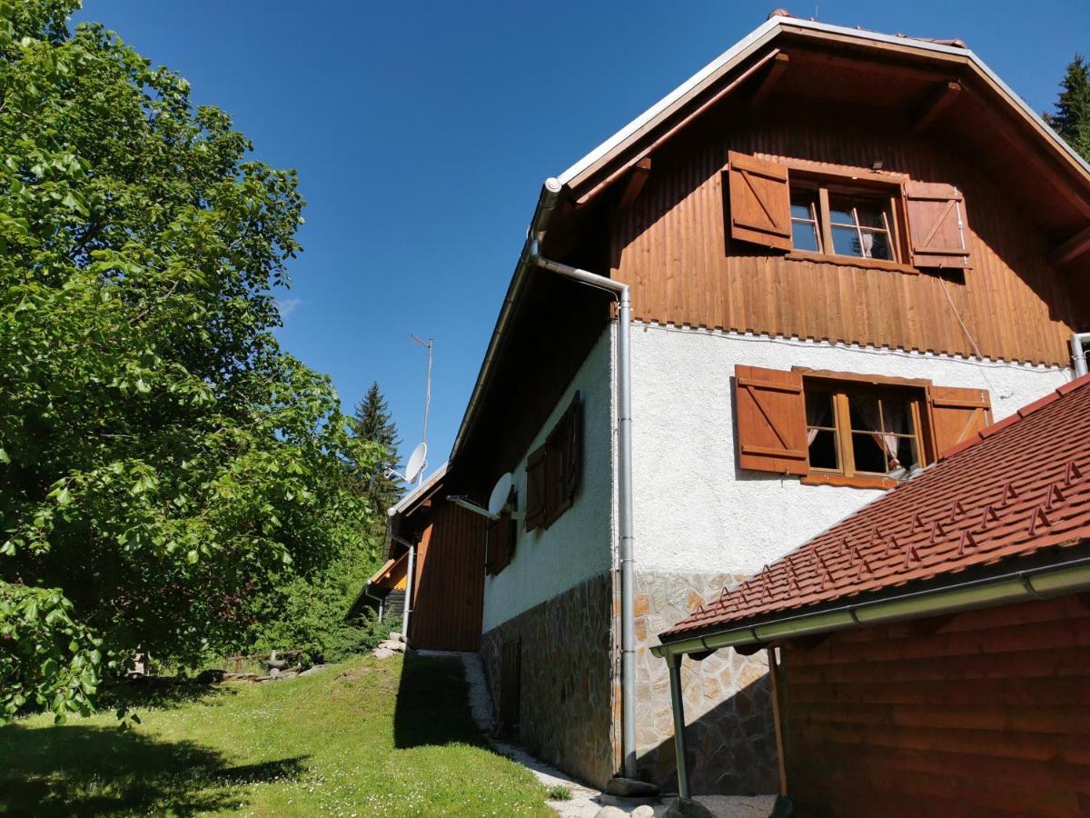 Pohorje House 2 Four Appartmetns Oplotnica Dış mekan fotoğraf